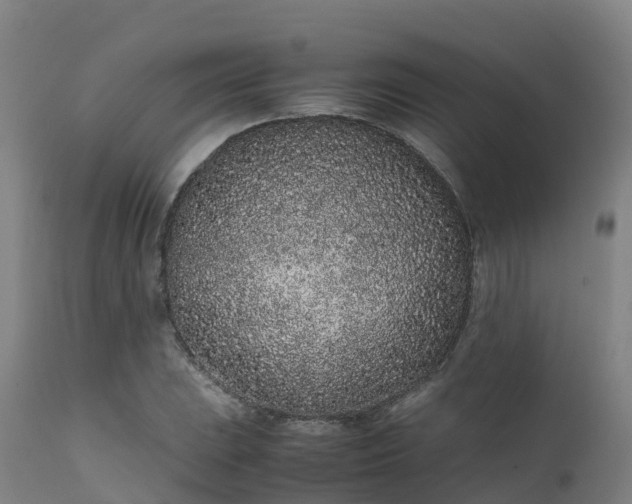 X0000111471023200907201131