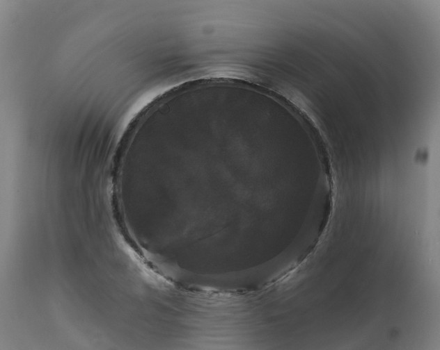 X0000111471024200907201131