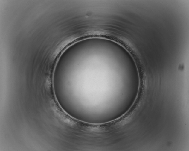 X0000111471025200907201131