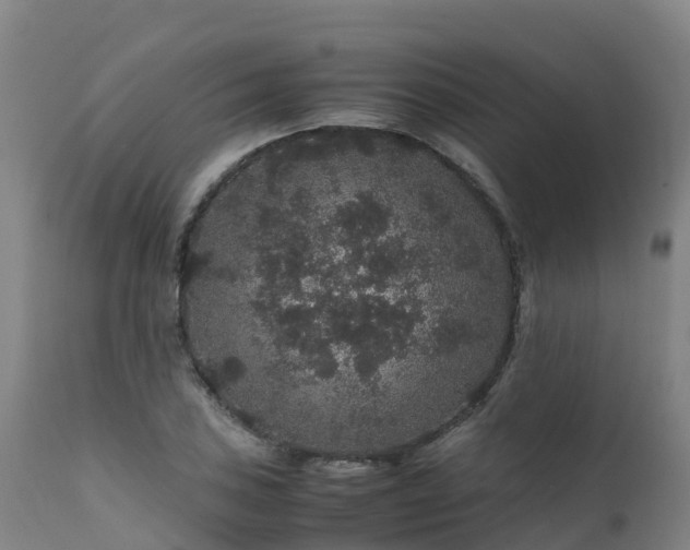 X0000111471027200907201131