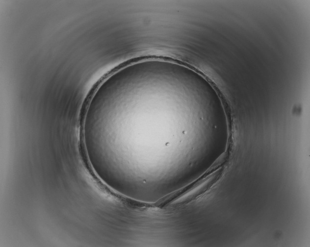 X0000111471028200907201131