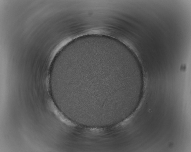 X0000111471029200907201131