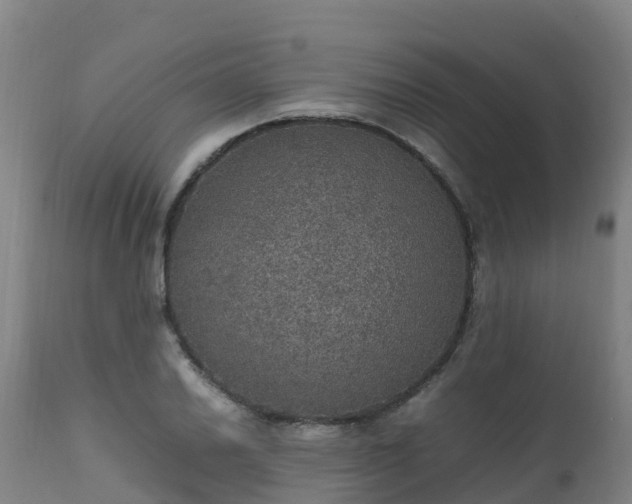 X0000111471030200907201131