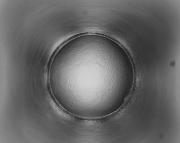 X0000111471032200907201131