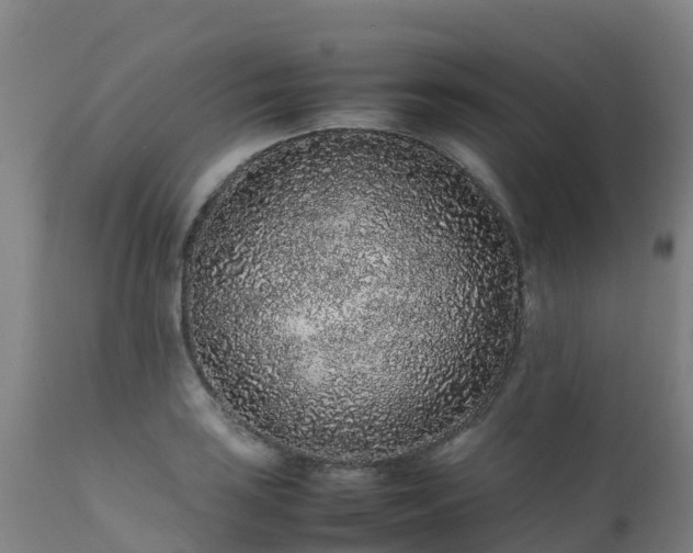 X0000111471035200907201132