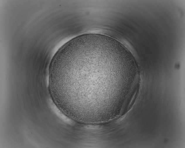 X0000111471036200907201132