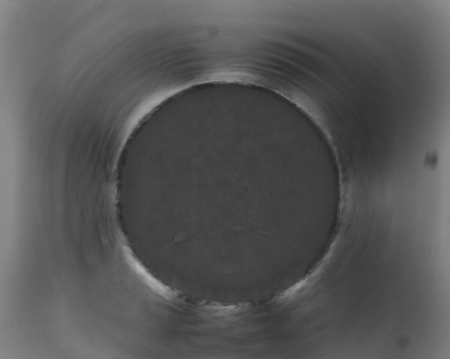 X0000111471037200907201132