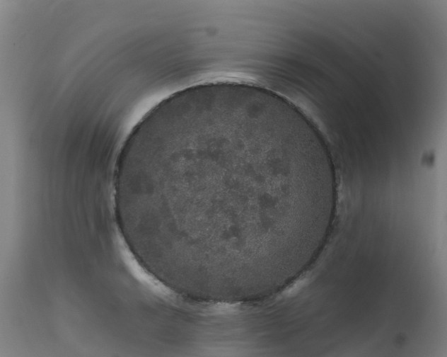 X0000111471038200907201132