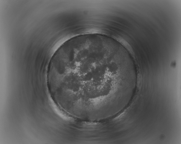 X0000111471039200907201132