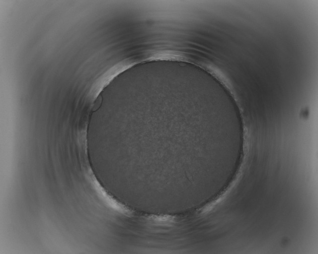 X0000111471041200907201132