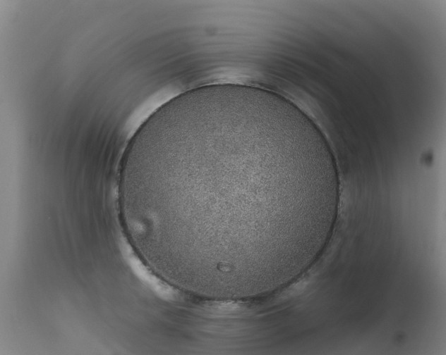 X0000111471042200907201132