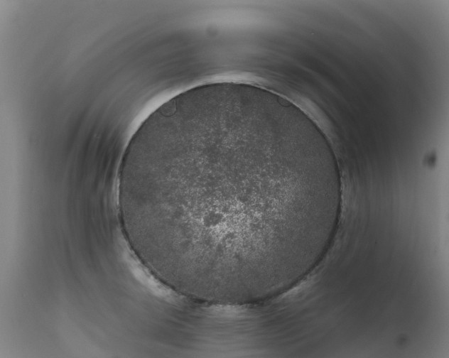 X0000111471044200907201132