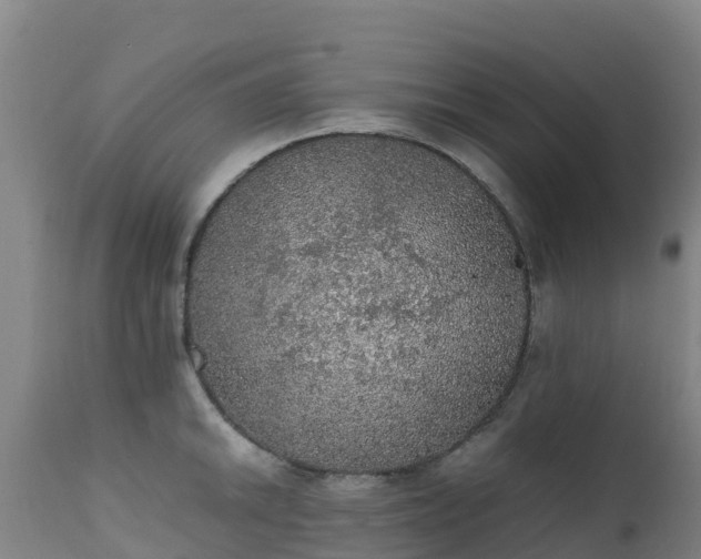 X0000111471046200907201132