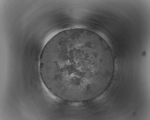 X0000111471047200907201132