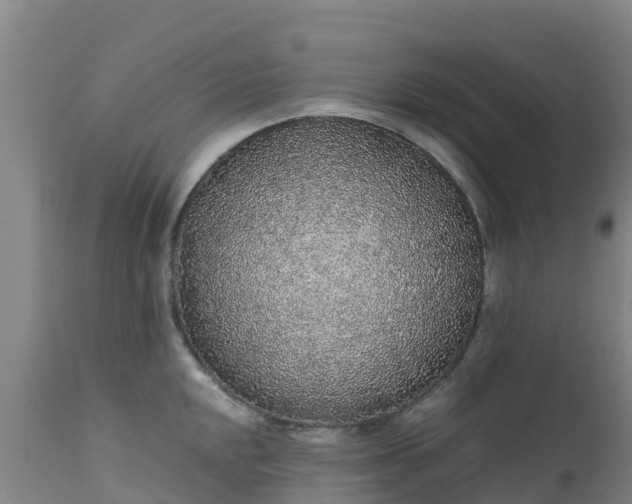 X0000111471048200907201132