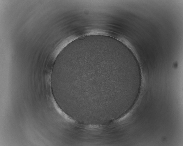 X0000111471049200907201132