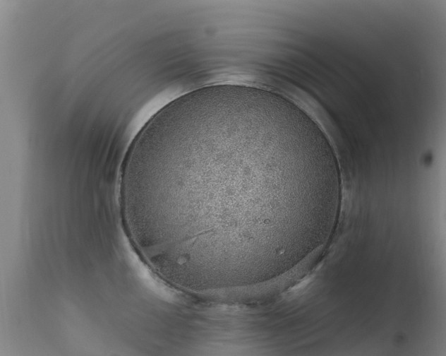 X0000111471050200907201132