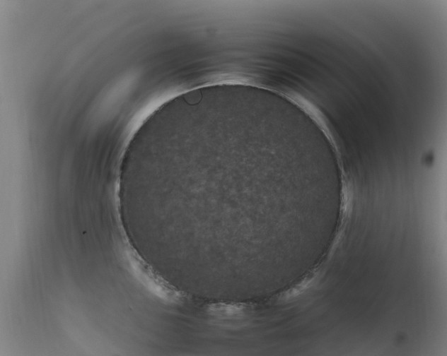 X0000111471051200907201132