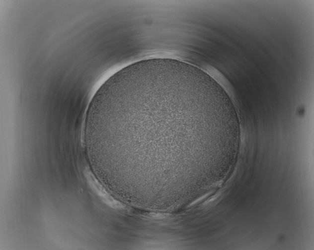 X0000111471052200907201132