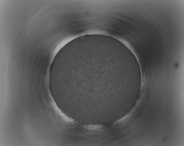 X0000111471053200907201132