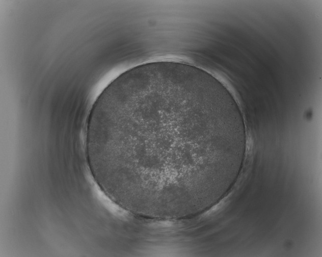 X0000111471054200907201132