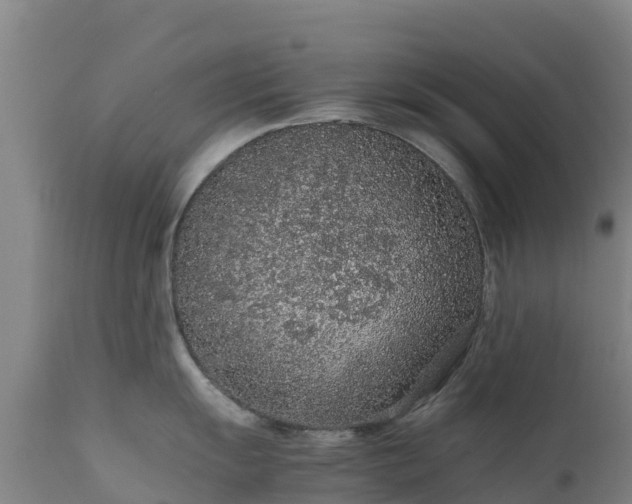 X0000111471055200907201132