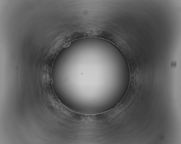 X0000111471058200907201131