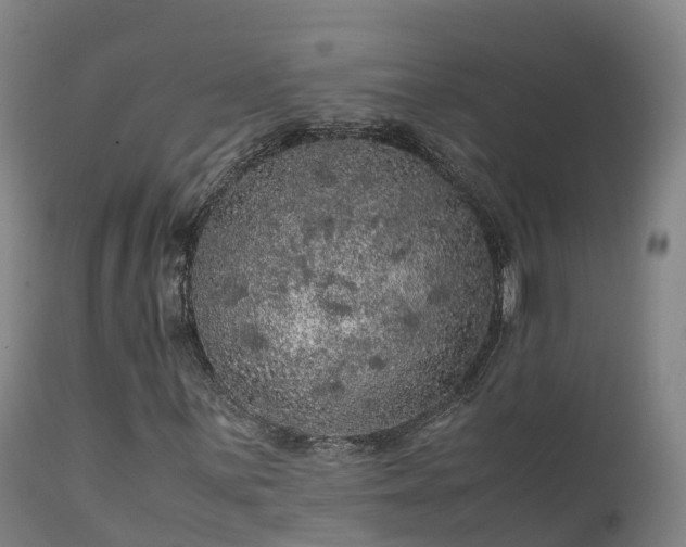 X0000111471059200907201131