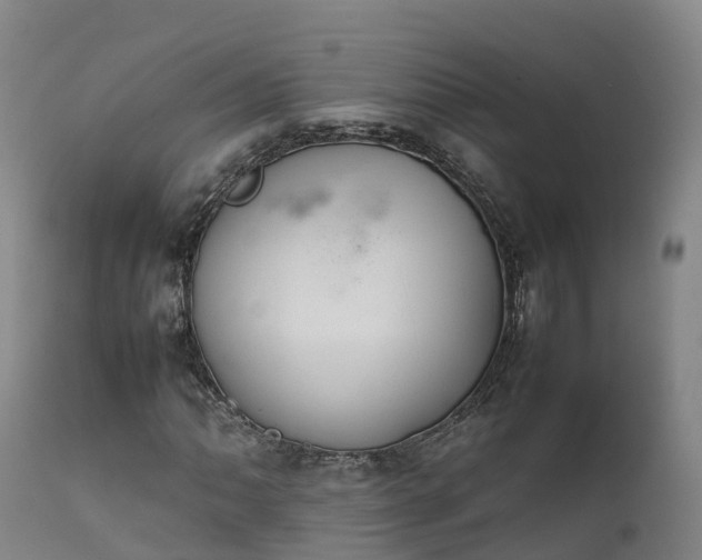 X0000111471062200907201131