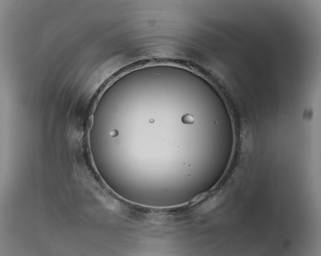 X0000111471065200907201131