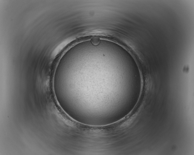 X0000111471066200907201131