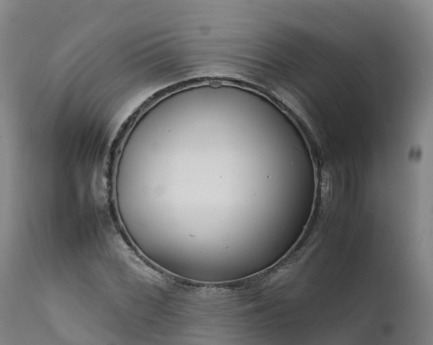 X0000111471068200907201131