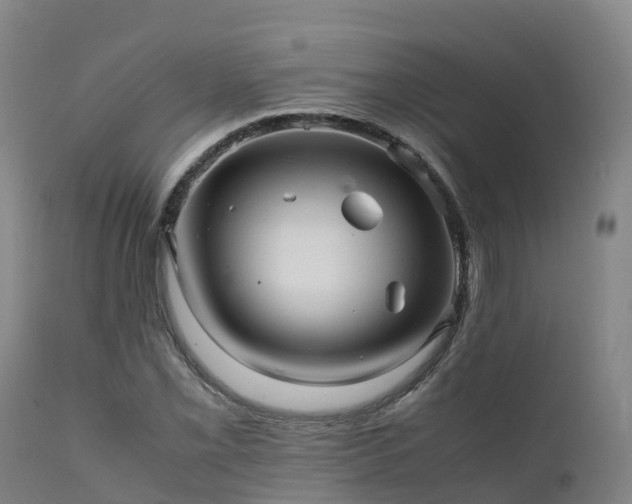 X0000111471069200907201131