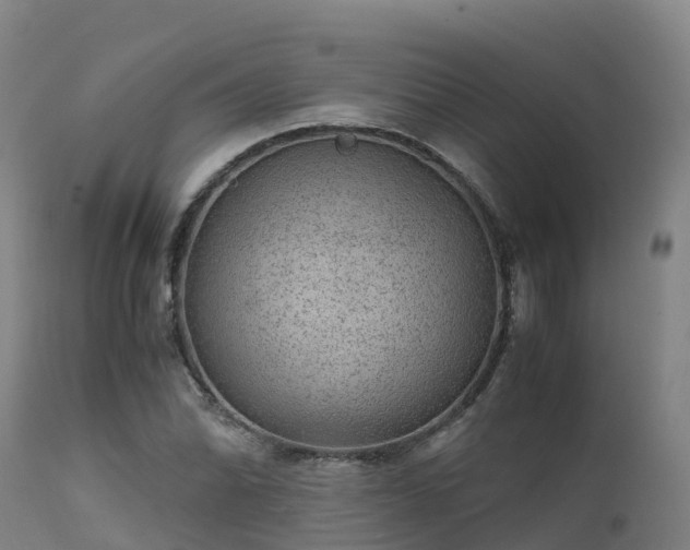 X0000111471070200907201131