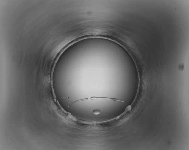 X0000111471073200907201131