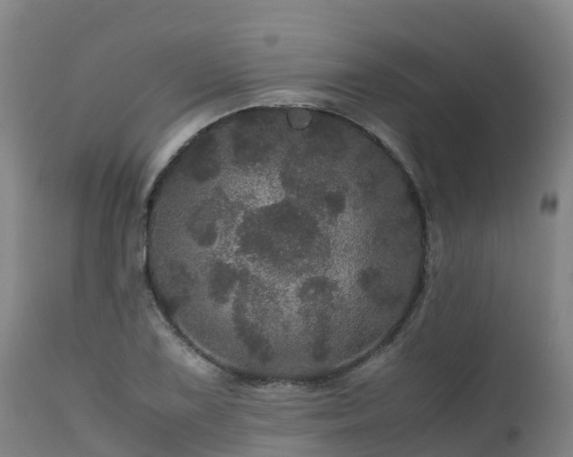 X0000111471075200907201131