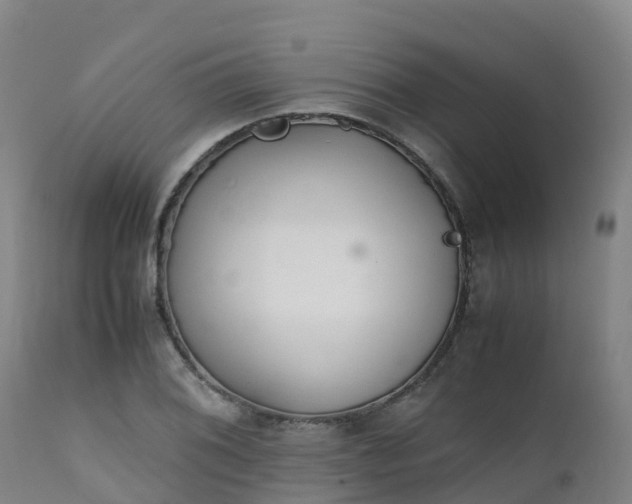 X0000111471076200907201131