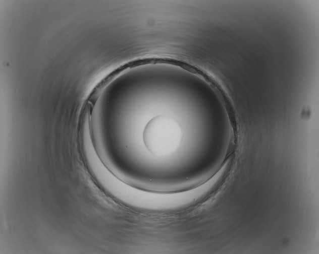 X0000111471077200907201131