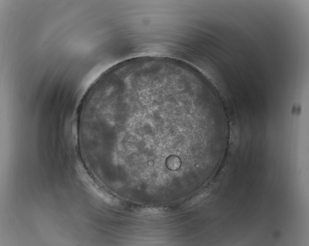 X0000111471078200907201131