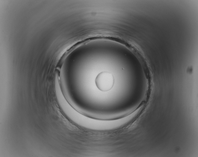 X0000111471081200907201131