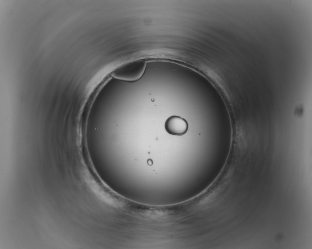 X0000111471082200907201131