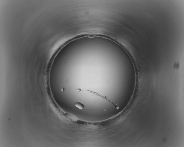 X0000111471085200907201131