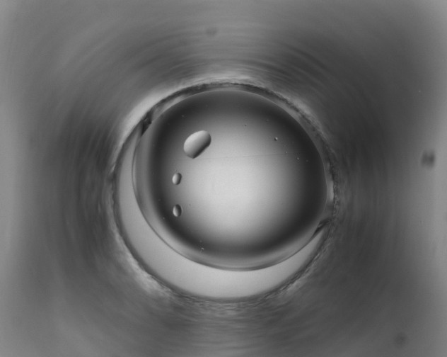 X0000111471086200907201131