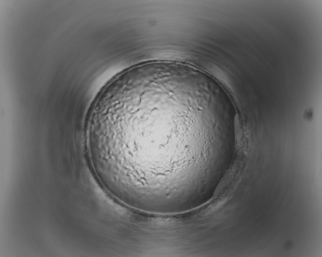 X0000111471087200907201131