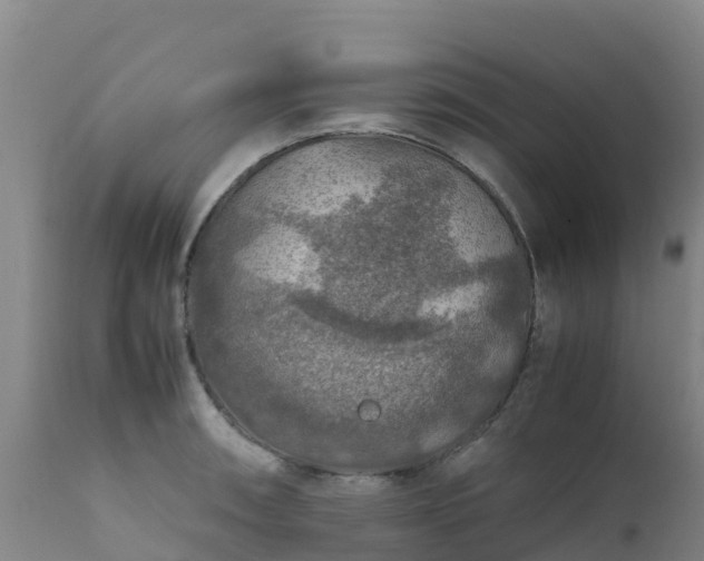 X0000111471090200907201131