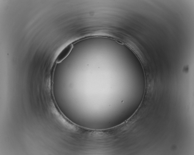 X0000111471092200907201131