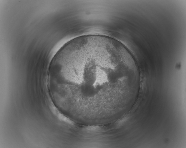 X0000111471094200907201131