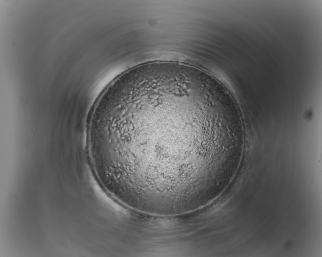 X0000111471095200907201131