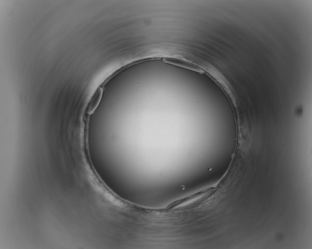 X0000111471096200907201131