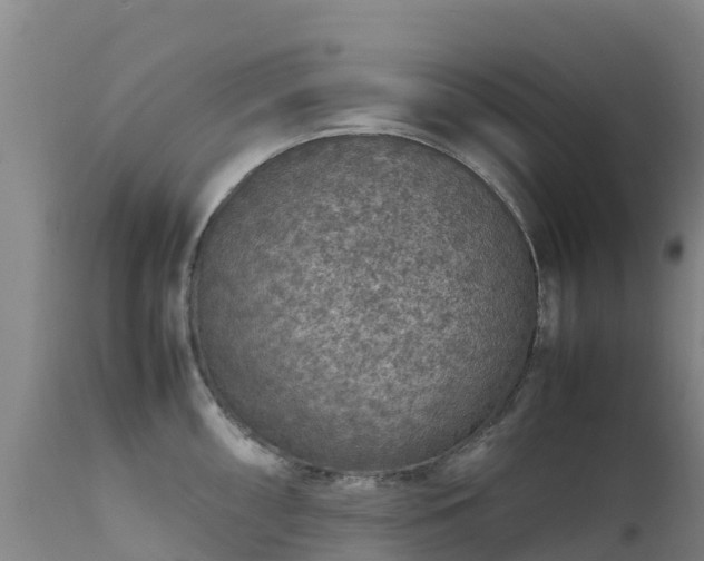 X0000111471098200907201131